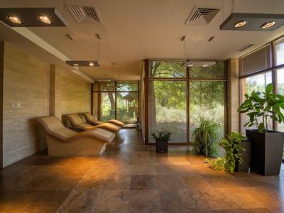 Heller Wellnessraum mit Holzliegen, großem Fenster und verschiedenen grünen Pflanzen.