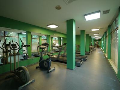 Modernes Fitnessstudio mit grünen Wänden, Laufbändern, Fahrradergometern und großen Fenstern.