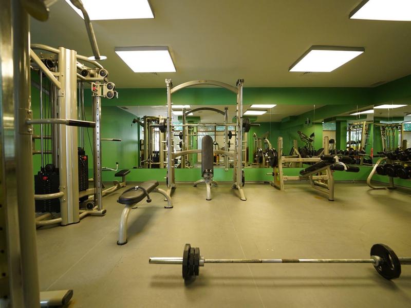 Gimnasio moderno con pesas y máquinas de ejercicio en un entorno verde.