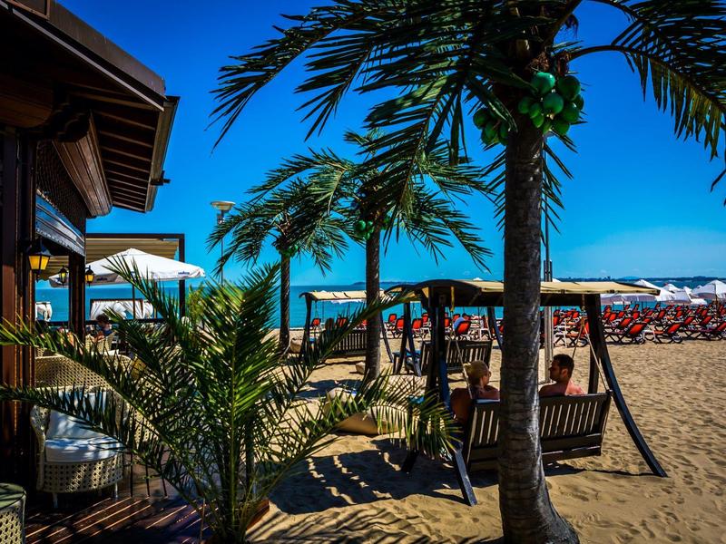 Jardín de palmeras y sombrillas en la playa con vista al mar azul bajo el sol.