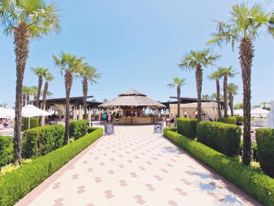 Blick auf einen Weg mit Palmen zu einem runden Strandpavillon unter klarem Himmel.
