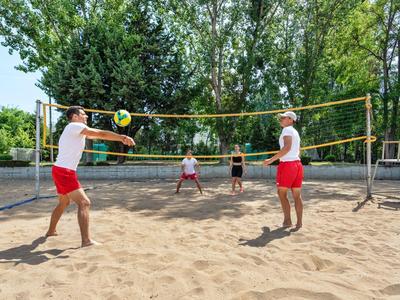 Vier Personen spielen Volleyball im Sand, umgeben von Bäumen und blauem Himmel.