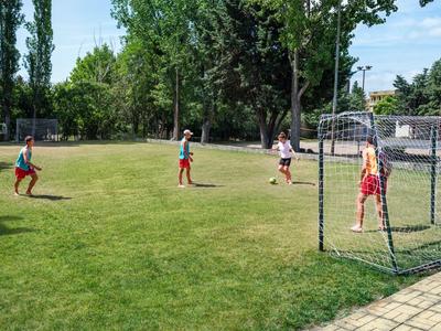 Kinder spielen Fußball auf einem grünen Rasenplatz mit Bäumen und blauem Himmel im Hintergrund.