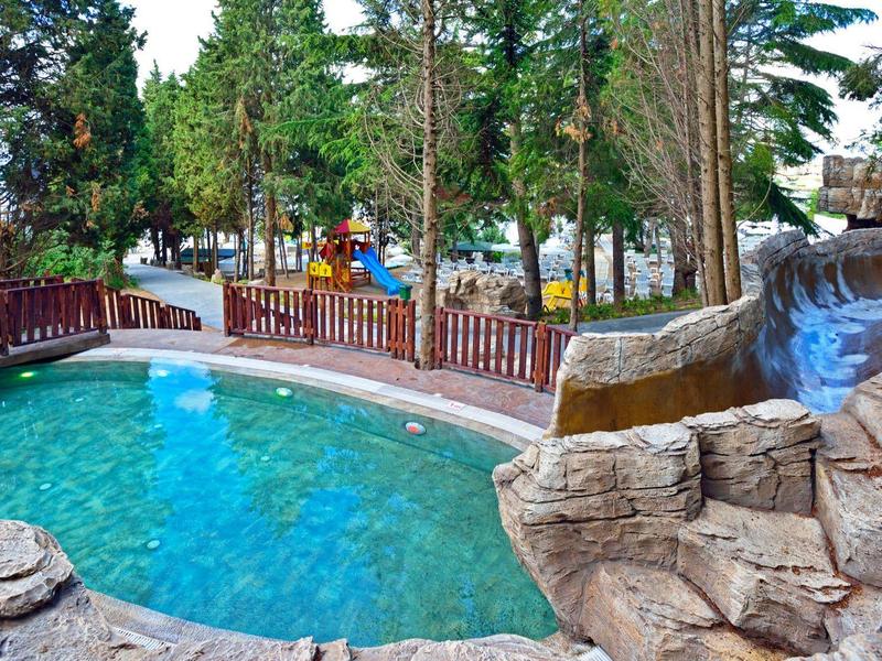 Piscina per il tempo libero con scivolo roccioso e ringhiera in legno circondata da alberi.