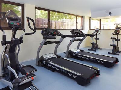 Moderne Trainingsgeräte wie Laufbänder und ein Crosstrainer in einem hellen Fitnessraum mit großen Fenstern.