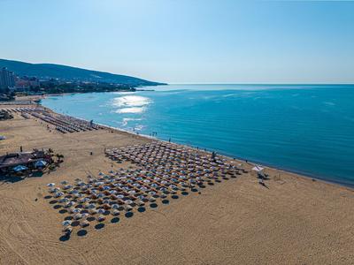 Amplia playa con filas de sombrillas y mar tranquilo al fondo.
