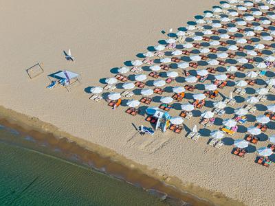 Vista aérea de una playa con filas de sombrillas y tumbonas junto al agua clara.