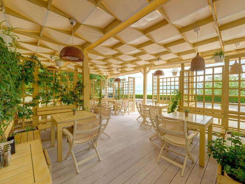 Ein heller Wintergarten mit hölzernen Möbeln, großen Fenstern und vielen grünen Pflanzen.