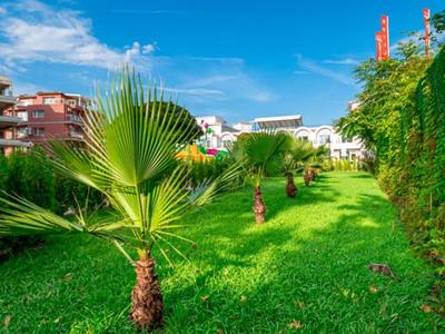 Grüner Garten mit kleinen Palmen vor Gebäuden unter blauem Himmel