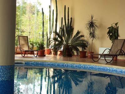 Swimming pool with blue tiles and lounge chairs next to large indoor plants.