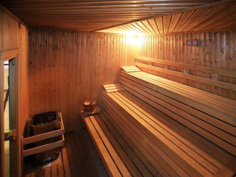Interieur van een houten sauna met trapvormige banken en een kachel met stenen.