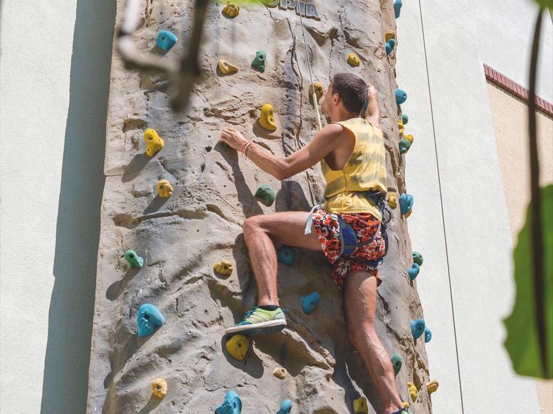 Persoon klimt op een binnensportklimmuur omgeven door groene bladeren in een lichte omgeving.