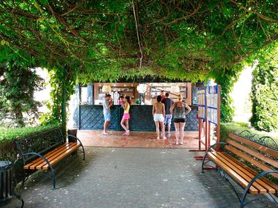 Zastřešená cesta s zelenými rostlinami, lavičkami a lidmi před malou budovou.