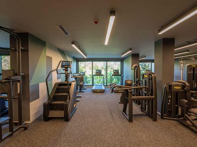 Moderner Fitnessraum mit Geräten und großen Fenstern mit Blick auf einen Garten.