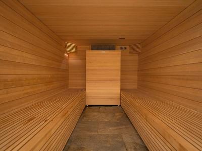 Binnenkant van een traditionele houten sauna met banken langs de zijkanten.