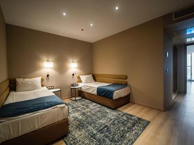 Modern eingerichtetes Hotelzimmer mit zwei Einzelbetten und einem Teppich auf Holzboden.