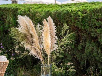 Glasvase mit Pampasgras auf einem Tisch im Freien mit Sonnenschirmen im Hintergrund.