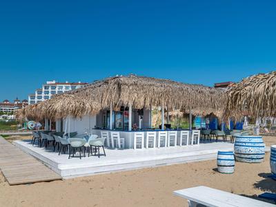 Un bar sulla spiaggia con tetto di paglia e sgabelli su una spiaggia sabbiosa sotto un cielo limpido.