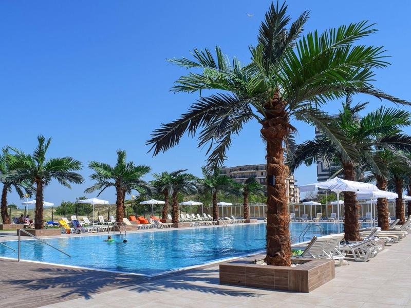 Großer Pool mit blauer Oberfläche, umgeben von Palmen und weißen Liegestühlen unter blauem Himmel.