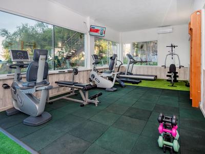 Gimnasio moderno con equipo de fitness y grandes ventanas con vista al jardín.