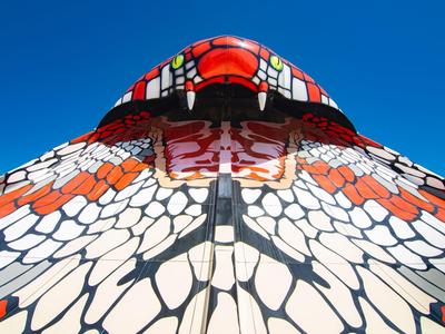 Kleurrijk vlindervleugelpatroon met heldere blauwe lucht op de achtergrond.