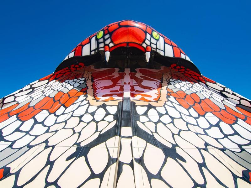 Kleurrijk vlindervleugelpatroon met heldere blauwe lucht op de achtergrond.