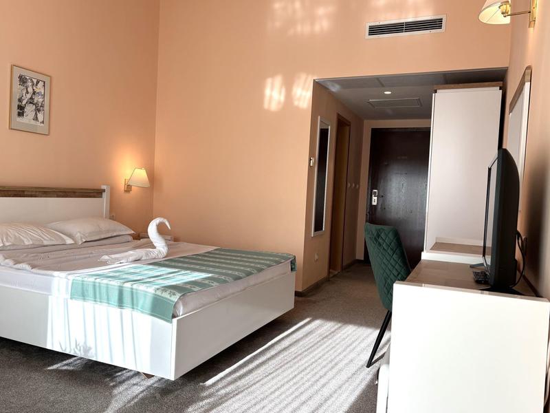 Camera d'albergo luminosa con letto matrimoniale, scrivania, TV e asciugamano a forma di cigno.