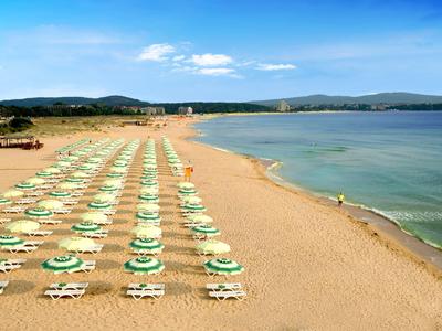 Forest Beach