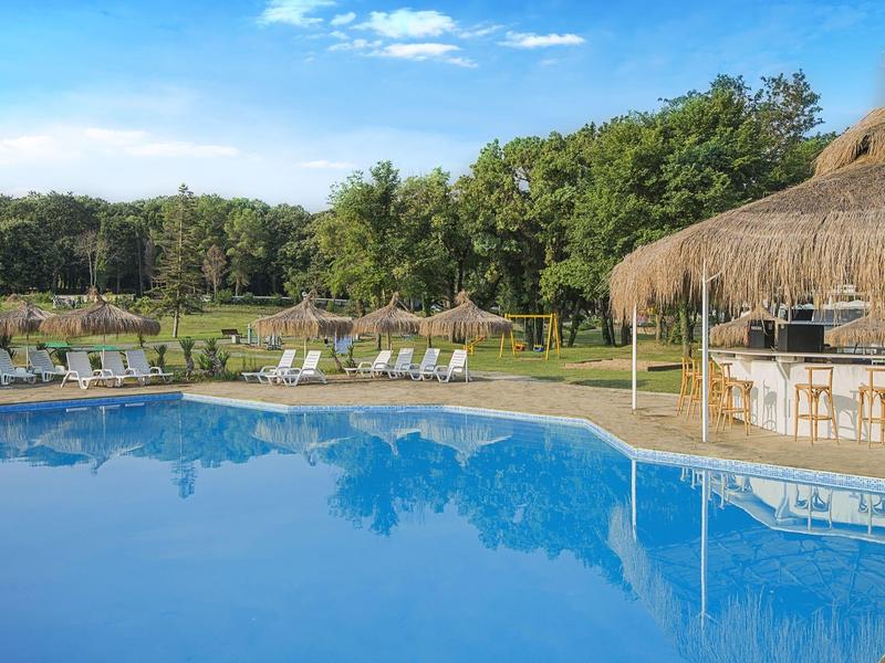 Large pool with lounge chairs and a thatched roof beach bar in a green setting.