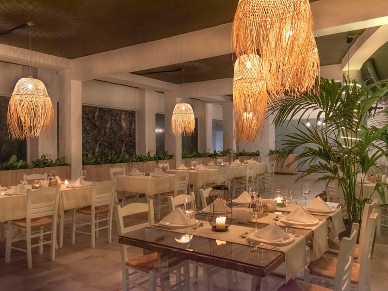 Warmly lit restaurant with set tables and plants in a modern ambiance.