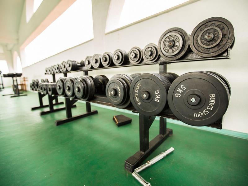 Fila di manubri in una palestra moderna con pavimento verde.