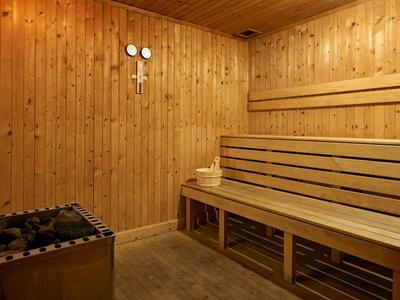 Houtsauna met banken en een kachel in een warm verlichte cabine.