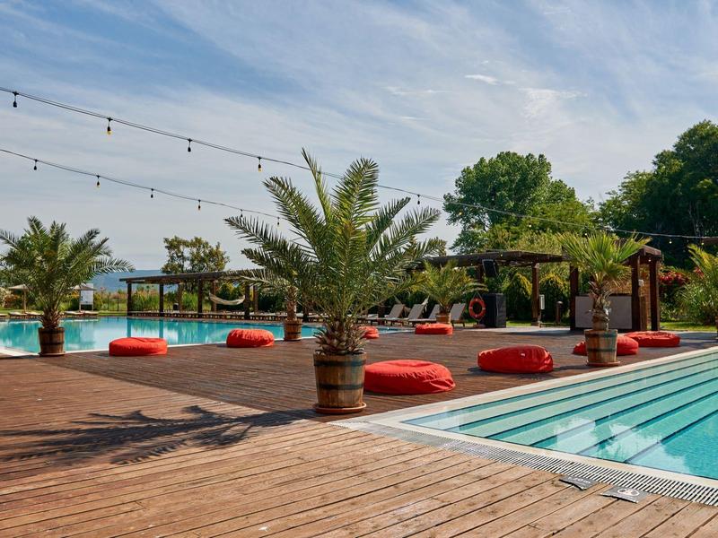 Zwembadgebied met houten dek, rode kussens, palmbomen en blauw water onder een blauwe lucht.
