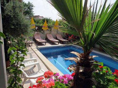 Area piscina con lettini, palme e fiori colorati in un giardino dell'hotel