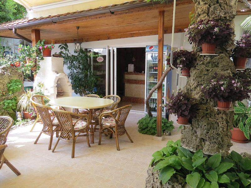 Überdachte Terrasse mit runden Holztisch, Stühlen und vielen grünen Pflanzen in Töpfen.