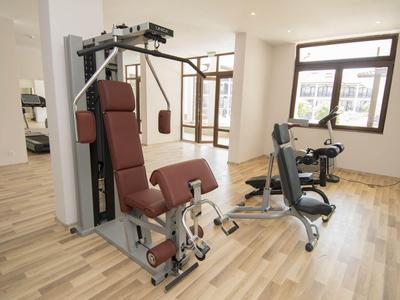 Moderner Fitnessraum mit Krafttrainingsgerät und Rudergerät auf hellem Holzboden