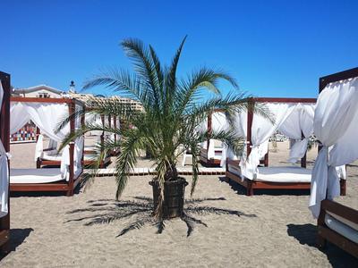 Sandstrand mit Palmen und weißen, überdachten Lounge-Betten unter klarem blauem Himmel.