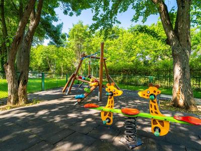 Ein bunter Spielplatz mit einer Wippe und Schaukeln umgeben von grünen Bäumen bei Sonnenschein.