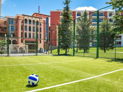 Grünes Fußballfeld mit Ball vor modernen Hotelgebäuden bei sonnigem Wetter.