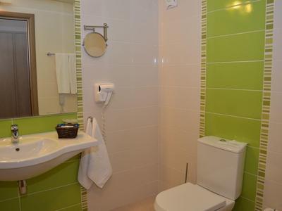 Kleine badkamer met groene tegels, witte wastafel, toilet, spiegel en föhn.