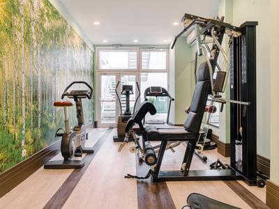 Kleiner Fitnessraum mit Fahrradergometer, Laufbändern und Multifunktionskraftgerät mit Naturwanddekoration.