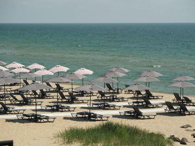 Sandstrand mit vielen Liegen und weißen Sonnenschirmen vor ruhigem, blau-grünem Meer.