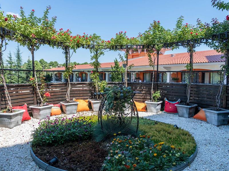 Courtyard with seating area surrounded by grapevines and adjacent hotel rooms.