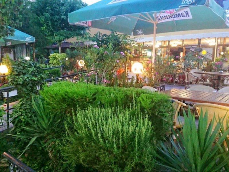 Grüner Garten mit Sträuchern, Tischen, Stühlen und beleuchteten Sonnenschirmen am Abend.