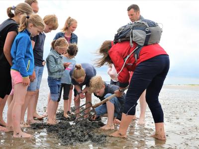 Gruppe von Kindern und zwei Erwachsenen entdecken etwas im Sand am Strand bei Ebbe.
