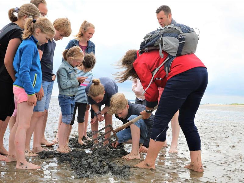 Gruppe Kinder mit zwei Erwachsenen entdeckt etwas am feuchten Sandstrand bei bewölktem Himmel.