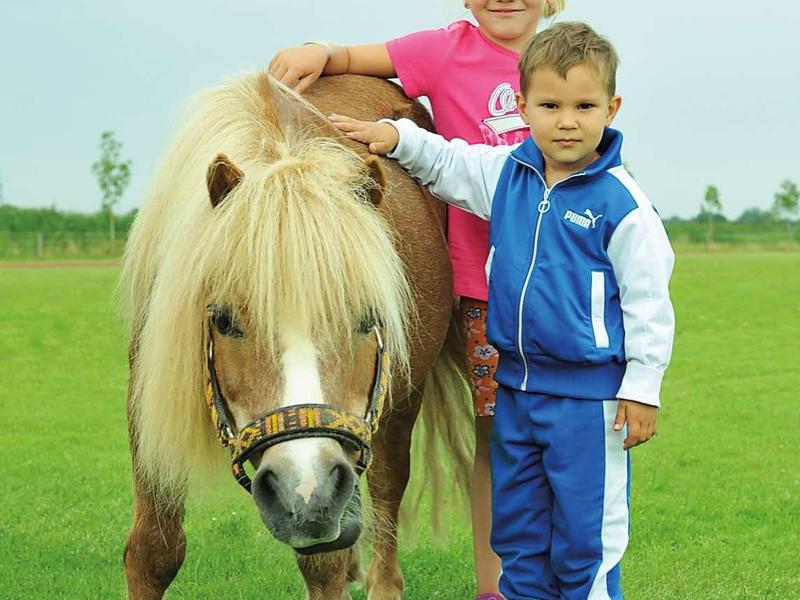 Zwei Kinder stehen auf einer grünen Wiese neben einem hellbraunen Pony mit langer Mähne.