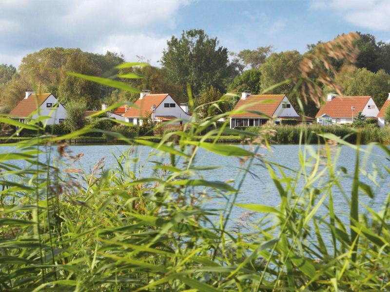 Rangée de maisons aux toits rouges au bord du lac, entourées d'arbres et de plantes vertes.