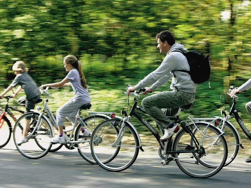 Famille faisant du vélo ensemble sur une route entourée de verdure