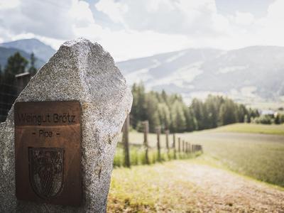 Großer Stein mit Metalltafel an einem Weg, im Hintergrund grüne Wiesen und bewaldete Berge.
